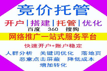 百度竞价排名案例分析：提升网站流量与转化率